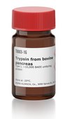 Trypsin from bovine pancreas Type I, ~10,000&#160;BAEE units/mg protein
