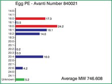 Egg PE Avanti Research&#8482; - A Croda Brand 840021C
