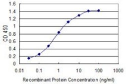 Monoclonal Anti-IGKC antibody produced in mouse clone 2E7, purified immunoglobulin, buffered aqueous solution
