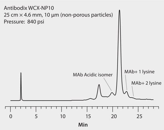 HPLC Analysis of Monoclonal Antibodies (mAb) with Charge Variance on Antibodix® WCX-NP10 application for HPLC