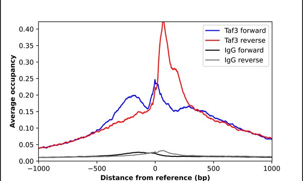 Anti-TAF3 antibody produced in rabbit Prestige Antibodies&#174; Powered by Atlas Antibodies, affinity isolated antibody