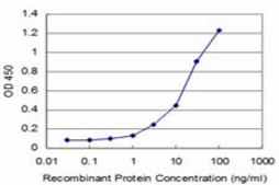 Monoclonal Anti-TTF2 antibody produced in mouse clone 3F7, purified immunoglobulin, buffered aqueous solution