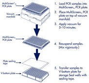 MultiScreenHTS Vacuum Manifold The MultiScreen&#174;HTS Vacuum Manifold is designed for use with 96-well plate and 384-well plate MultiScreenHTS filter and collection plates