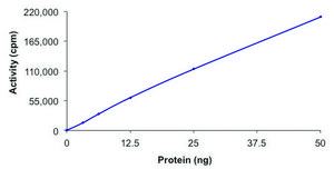 PKC-&#948;, active, GST tagged human PRECISIO&#174;, recombinant, expressed in baculovirus infected Sf9 cells, &#8805;70% (SDS-PAGE), buffered aqueous glycerol solution