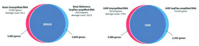 SeqPlex RNA Amplification Kit For use with high throughput sequencing technologies