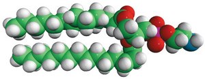 14:0 PE Avanti Research&#8482; - A Croda Brand