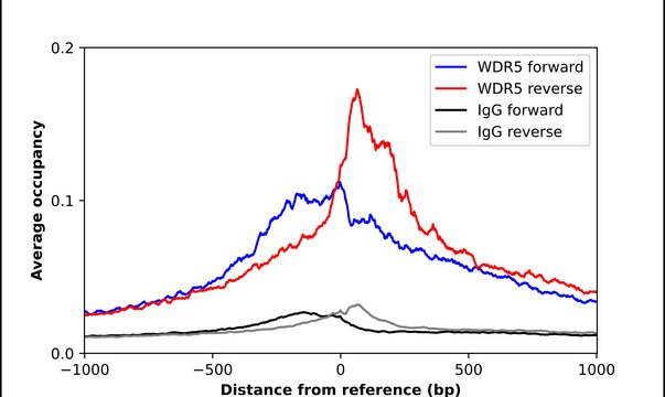Anti-WDR5 antibody produced in rabbit Prestige Antibodies&#174; Powered by Atlas Antibodies, affinity isolated antibody