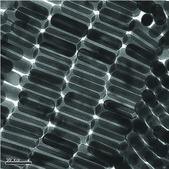Gold nanorods 10&#160;nm diameter, &#955;max, 850&#160;nm, dispersion in H2O