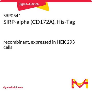 SIRP-alpha (CD172A), His-Tag recombinant, expressed in HEK 293 cells