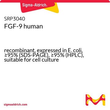 FGF-9 human recombinant, expressed in E. coli, &#8805;95% (SDS-PAGE), &#8805;95% (HPLC), suitable for cell culture