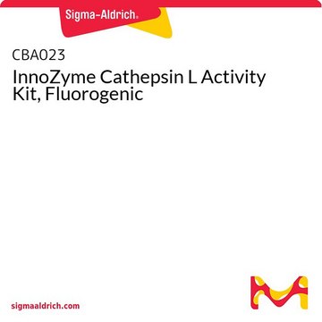 InnoZyme Cathepsin L Activity Kit, Fluorogenic