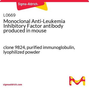 Monoclonal Anti-Leukemia Inhibitory Factor antibody produced in mouse clone 9824, purified immunoglobulin, lyophilized powder