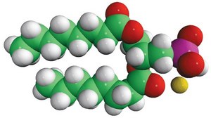 08:0 PA 1,2-dioctanoyl-sn-glycero-3-phosphate (sodium salt), chloroform