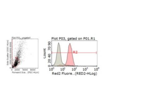 Anti-A2B5 Antibody, clone A2B5-105 Antibody, Alexa Fluor&#8482; 647 Conjugate clone A2B5-105, from mouse, ALEXA FLUOR&#8482; 647