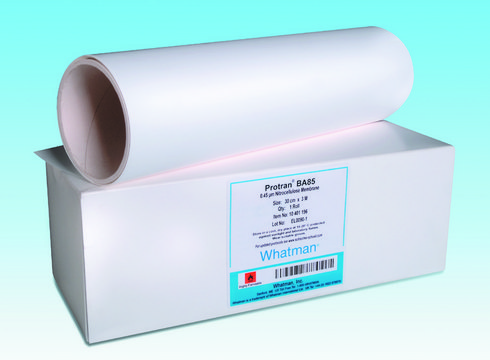 Whatman&#174; Protran&#174; nitrocellulose membranes Circles - BA85, pore size 0.45&#160;&#956;m, diam. 25&#160;mm, pack of 1000&#160;ea