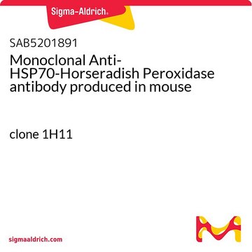 Monoclonal Anti-HSP70-Horseradish Peroxidase antibody produced in mouse clone 1H11