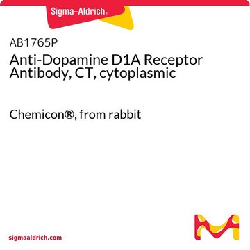 Anti-Dopamine D1A Receptor Antibody, CT, cytoplasmic Chemicon&#174;, from rabbit