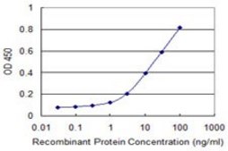 Monoclonal Anti-CLTC antibody produced in mouse clone 2E5, purified immunoglobulin, buffered aqueous solution
