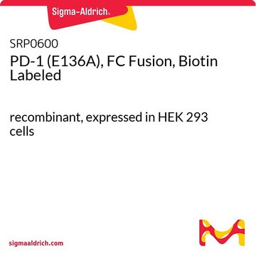 PD-1 (E136A), FC Fusion, Biotin Labeled recombinant, expressed in HEK 293 cells