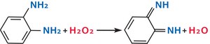 o-Phenylenediamine dihydrochloride peroxidase substrate
