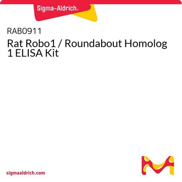 Rat Robo1 / Roundabout Homolog 1 ELISA Kit