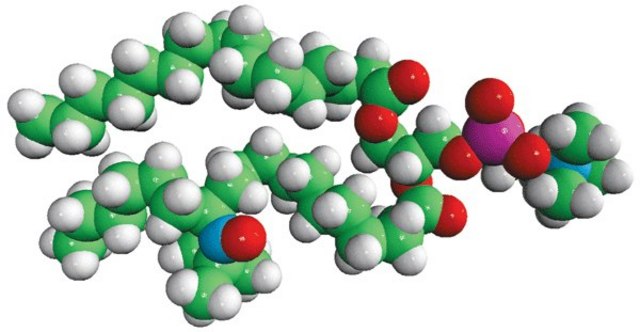 16:0-12 Doxyl PC Avanti Research&#8482; - A Croda Brand 810600P, powder