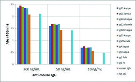 Anti-Mouse IgG antibody, Rabbit monoclonal recombinant, expressed in HEK 293 cells, clone RM104, purified immunoglobulin