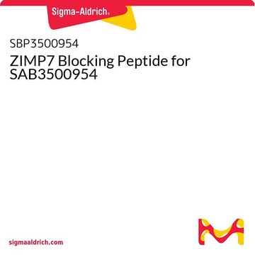 ZIMP7 Blocking Peptide for SAB3500954