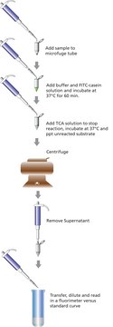 Protease Fluorescent Detection Kit high sensitivity assay