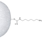 &#969;-Aminohexyl–Sepharose&#8482; 4B aqueous ethanol suspension