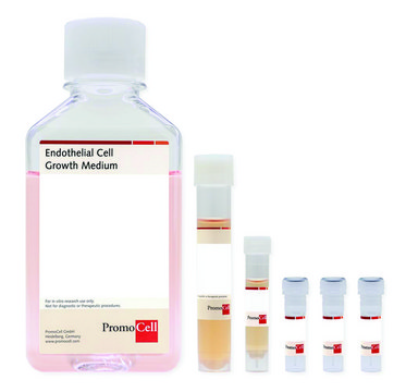 Endothelial Cell Growth Medium Kit including Basal Medium and SupplementPack, 500 ml