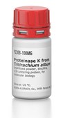 Proteinase&#160;K from Tritirachium album lyophilized powder, BioUltra, &#8805;30&#160;units/mg protein