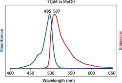 TopFluor&#8482; Cholesterol Avanti Research&#8482; - A Croda Brand