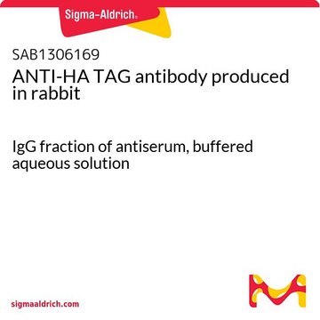 ANTI-HA TAG antibody produced in rabbit IgG fraction of antiserum, buffered aqueous solution