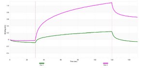 Anti-Nur77/NR4A1 Antibody, clone 1F2 ZooMAb&#174; Rabbit Monoclonal recombinant, expressed in HEK 293 cells