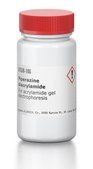Piperazine diacrylamide For acrylamide gel electrophoresis