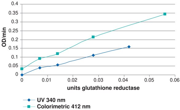 Glutathione Reductase Assay Kit Sufficient for 100 colorimetric tests