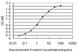 Monoclonal Anti-CUTL1 antibody produced in mouse clone 2D10, purified immunoglobulin, buffered aqueous solution