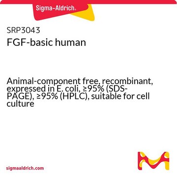 FGF-basic human Animal-component free, recombinant, expressed in E. coli, &#8805;95% (SDS-PAGE), &#8805;95% (HPLC), suitable for cell culture