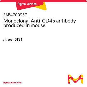 Monoclonal Anti-CD45 antibody produced in mouse clone 2D1