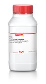 Bovine Serum Albumin lyophilized powder, BioReagent, suitable for cell culture