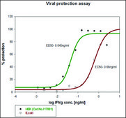 Interferon-&#947; human IFN-gamma, recombinant, expressed in HEK 293 cells, suitable for cell culture, endotoxin tested