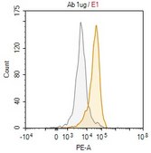 Anti-IL-8 Antibody, clone 1D20 ZooMAb&#174; Rabbit Monoclonal recombinant, expressed in HEK 293 cells