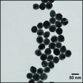 Silver nanospheres 50&#160;nm avg. part. size, 1&#160;mg/mL in water, lipoic acid functionalized