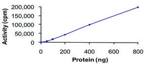 PDGFR-&#945;, active, GST tagged from mouse PRECISIO&#174;, recombinant, expressed in baculovirus infected Sf9 cells, &#8805;70% (SDS-PAGE), buffered aqueous glycerol solution