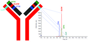 SILu&#8482;MAb Trastuzumab Stable-Isotope Labeled Monoclonal Antibody recombinant, expressed in CHO cells