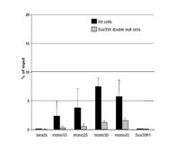 Anti-trimethyl-Histone H3 (Lys9) Antibody, clone 6F12-H4, Trial Size clone 6F12-H4, from mouse
