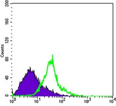 Anti-WNT1 Antibody, clone 10C8 ascites fluid, clone 10C8, from mouse