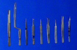 Stainless steel forceps Specimen, L 4 1/2&#160;in.