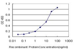 ANTI-PRKCI antibody produced in mouse clone 1C10, purified immunoglobulin, buffered aqueous solution